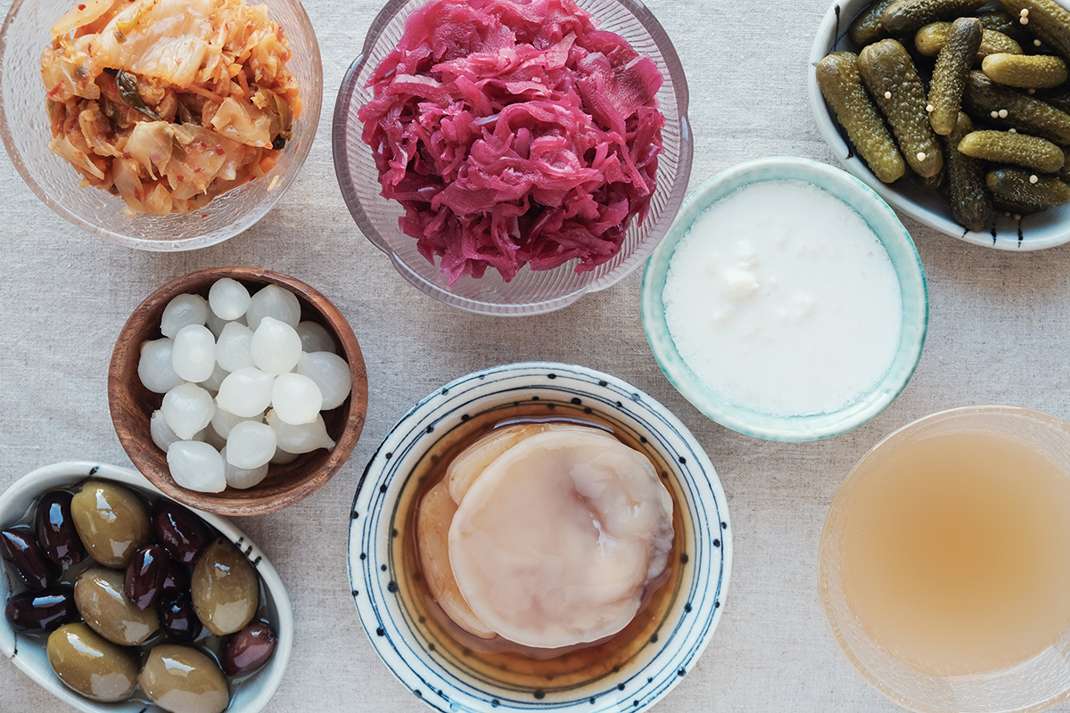 Alimentos prebióticos y probióticos